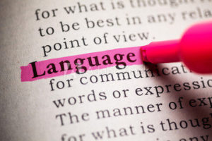 What is a language?